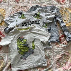 Tommy Bahama Kids' Dinosaur Graphic Tees - Green and Gray
